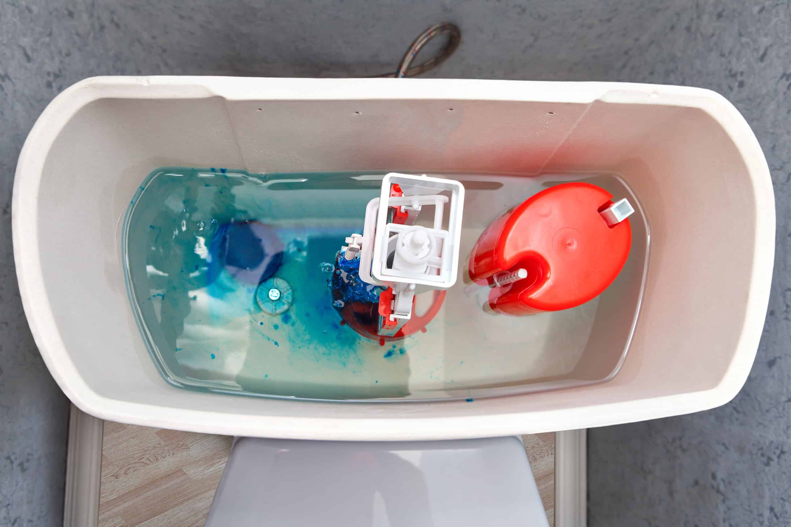 How to Clean Your Toilet Tank