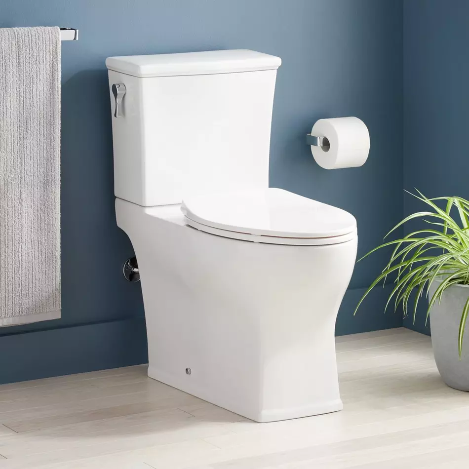 Toilet Repair Services